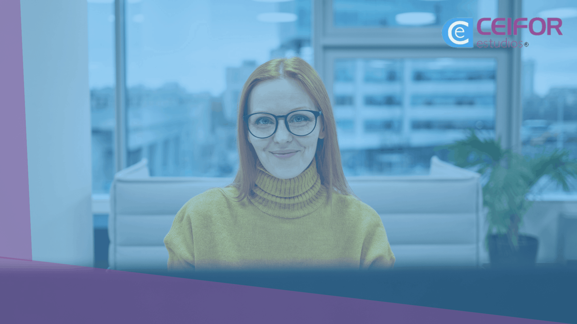 Técnico Superior en Asistencia a la Dirección